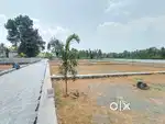 Cochin International Airport Athani House Plot For Sale