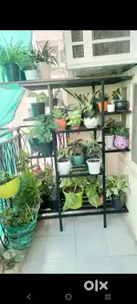 Flower pot stand