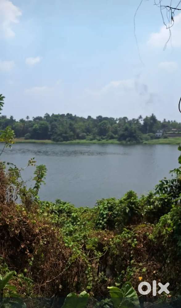 8 Acre Periyar Waterfront Land Nedumbassery