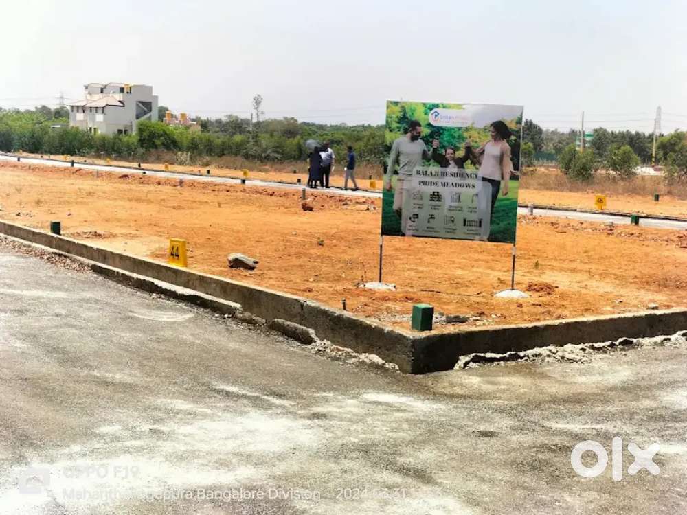 Prime growth plots in Jigani