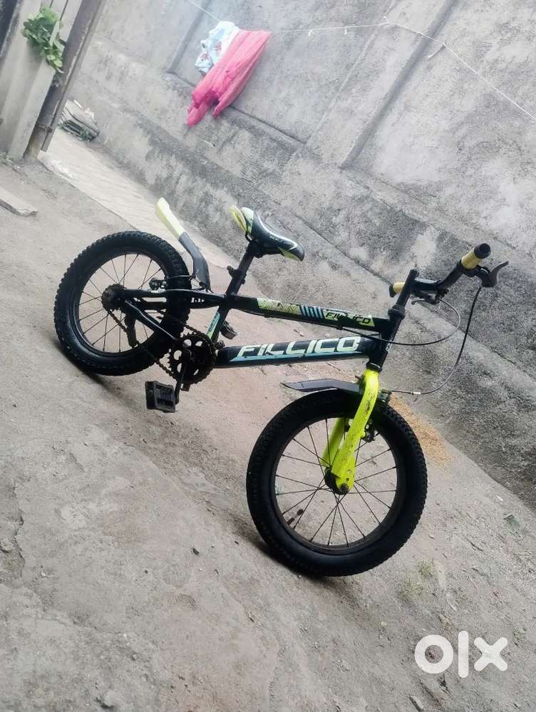 Filicop...
