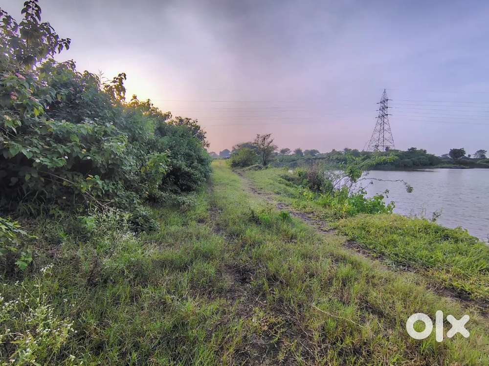 Best Farmhouse plots near undasa dam freeganj se 6 km dur