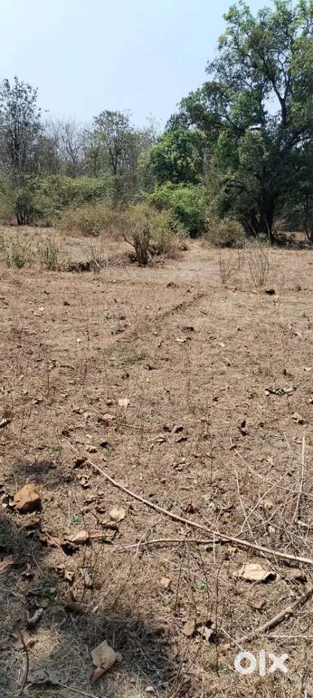 Plot for sell