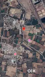 7 vigha land for sell at Dhanaj