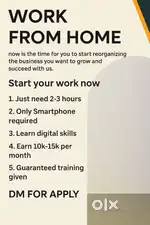 Online  digital  marketing  ( work from home)