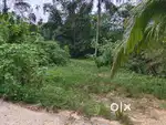 6 Cent dry land for Sale in Muttil