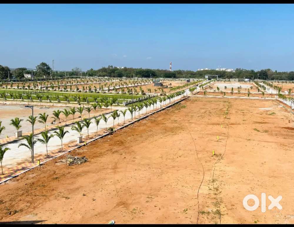 100%Clear title spot Registration