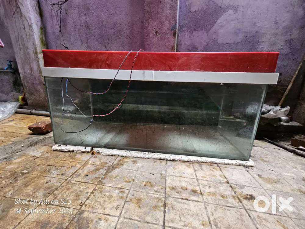 Glass Aquarium