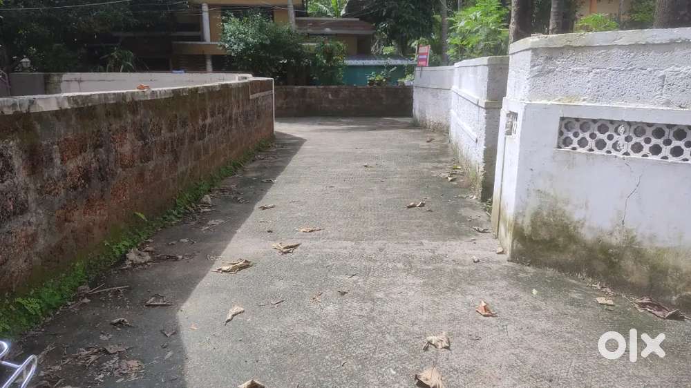 5.35 cents house plot about 250 mtrs from Main road