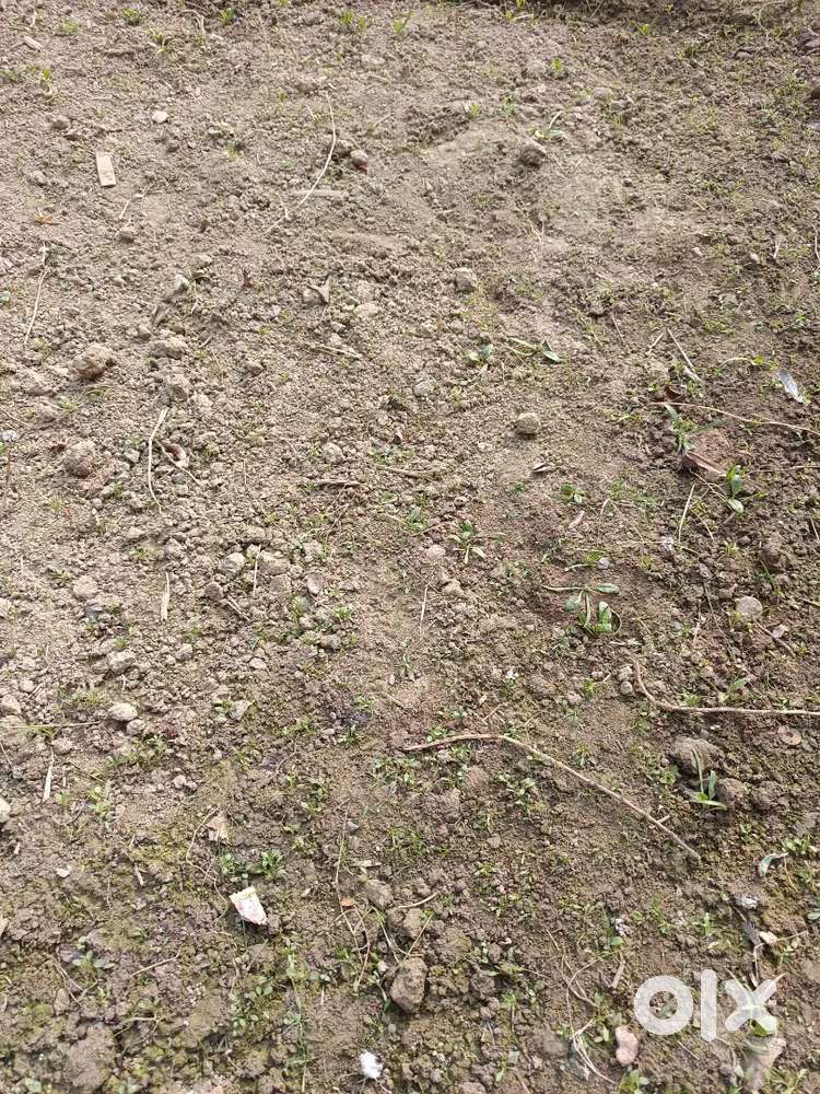 Plot for sale, padshahi bagh naikpora