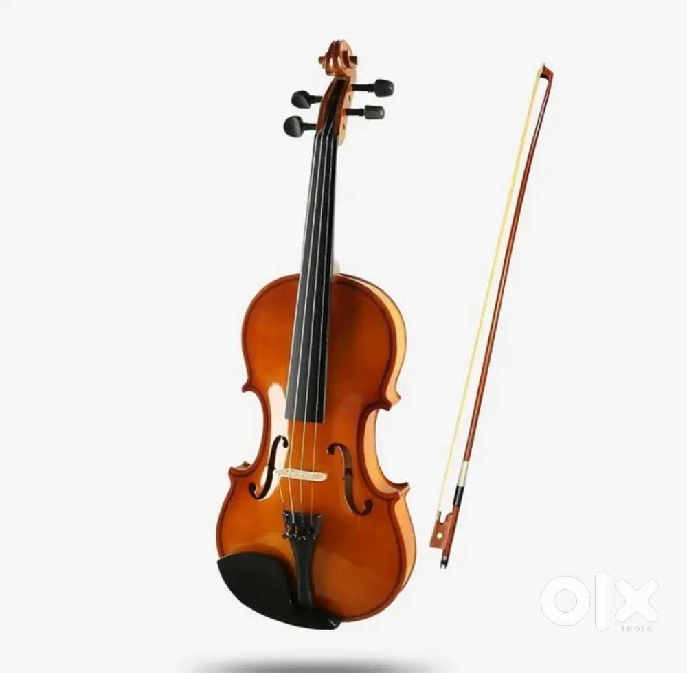 I'm a Violin and vocal teacher