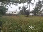 15 cent land for sale
