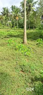 Plot for sale