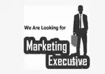 Need Marteting Executives in College