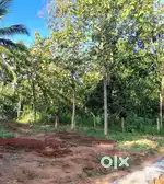5 Cent Housing plot for sale - Near Elanthavilai RC church