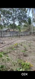 Alappuzha,cherthala,Kerala  8-14 cent of land near kinder,kvm hospital