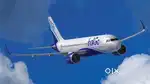 350+ seats Hiring Male Female Candidates in INDIGO AIRLINES All facil