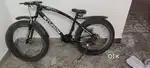 fat tyre cycle