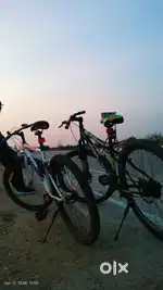 Gang cycle