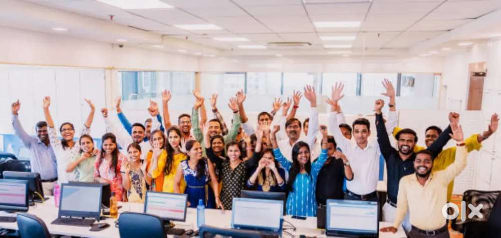50+ opportunities available