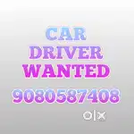 Male car Driver wanted