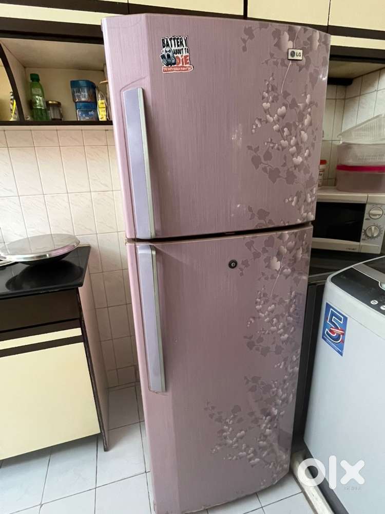 LG 260 Litter ; Double Door; Frost Free