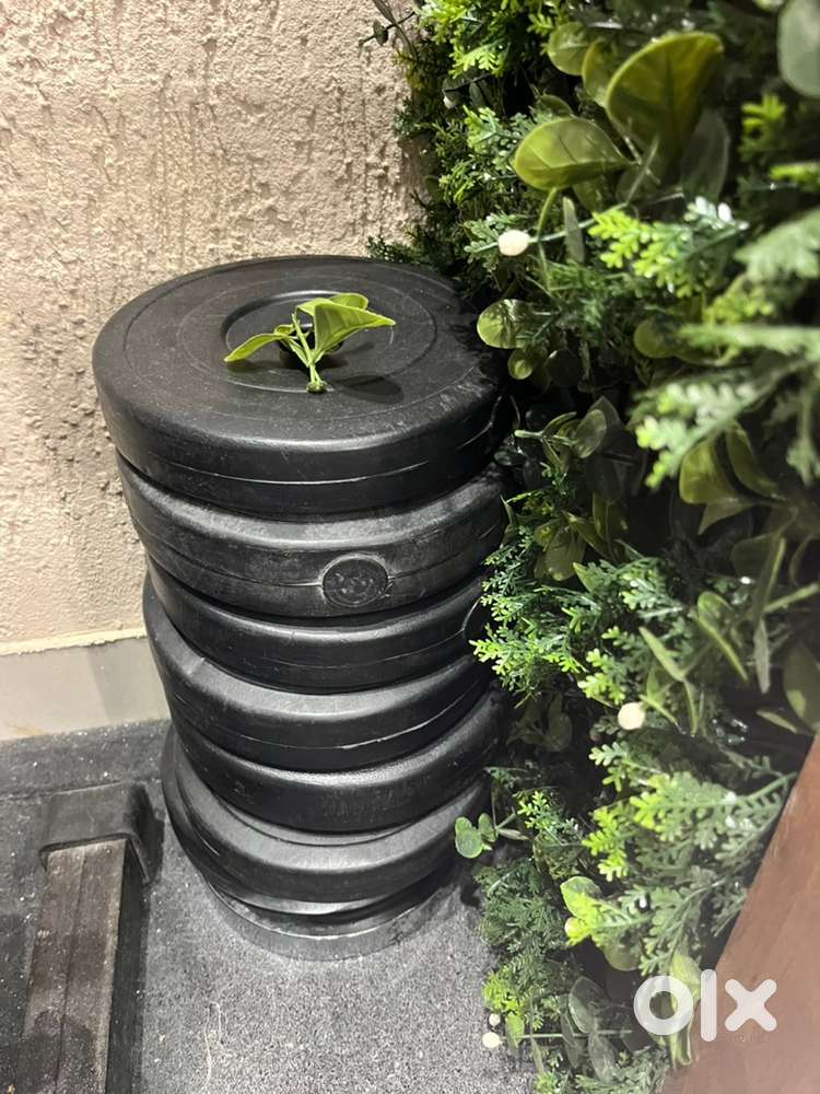 Gym plates for sale