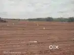 Land for sale in vengi palayam