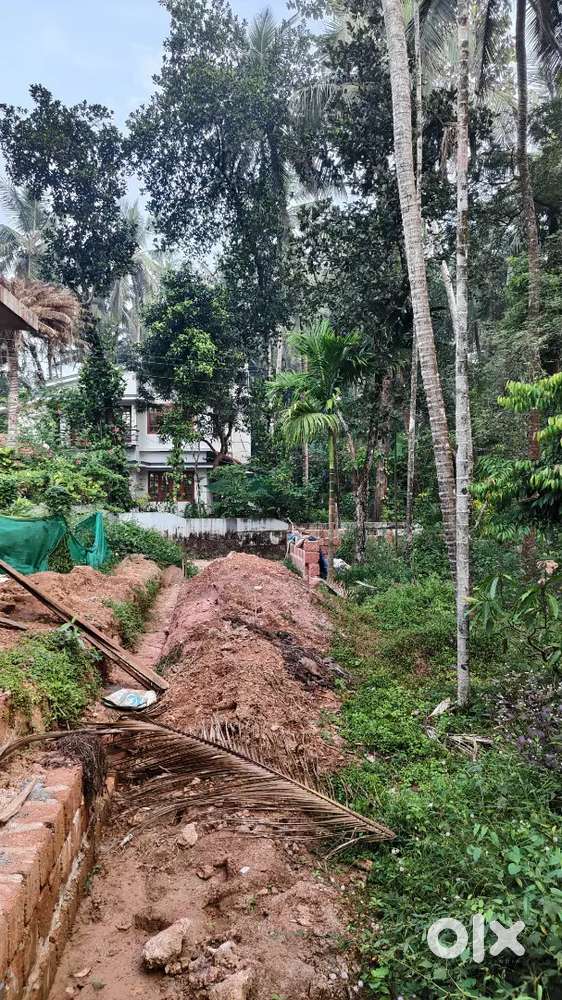 Plot near Kayalode, കാപുമ്മൽ