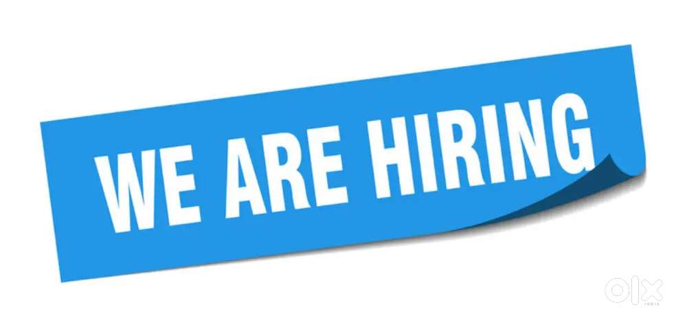 Picker packer vacancy