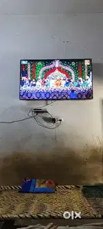 Tv 55 in new TV
