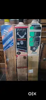 kashmir willow bat 1500 per bat