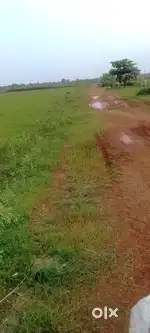 Plots sell