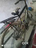 Black cycle