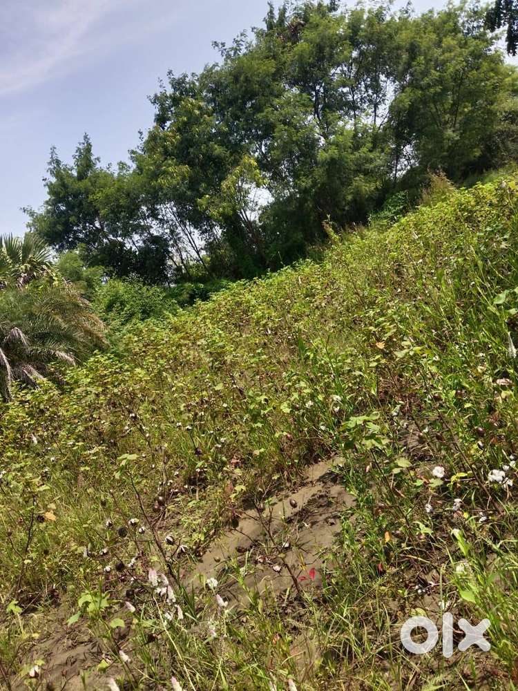 LAND FOR SALE 20 GUNTAS