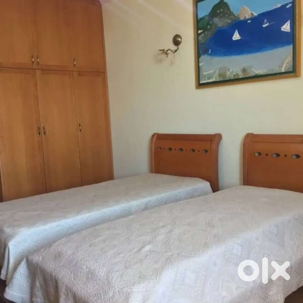 Boys luxury PG 2-3 seater