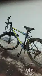 Cosmic brand cycle  green and grey
