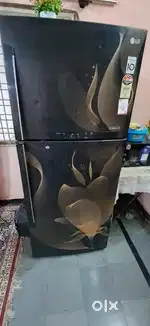 LG fridge nice