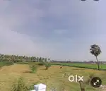 URGENT SALE Land for sale நிலம் விற்பனைக்கு DTCP Approved