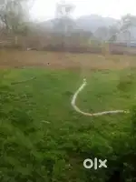Cleaning staff