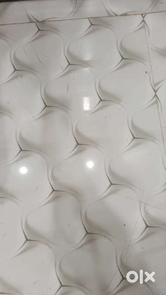 Plot at Omvihar Aarafpur khajuri