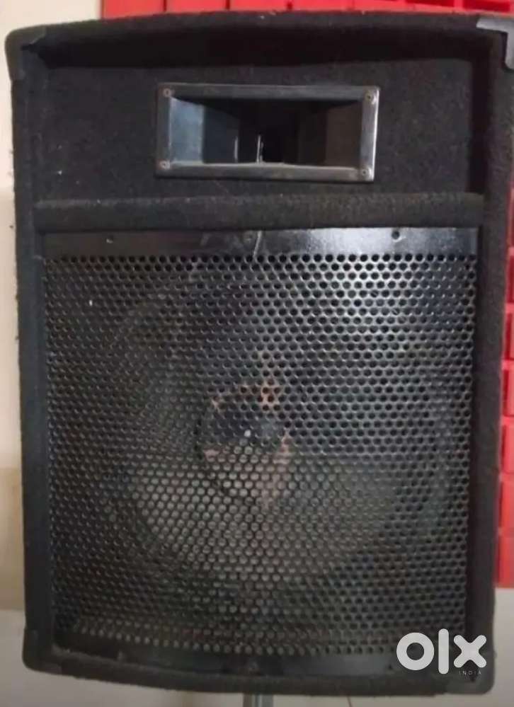 12 inches Speaker for dj amplifier 200w each