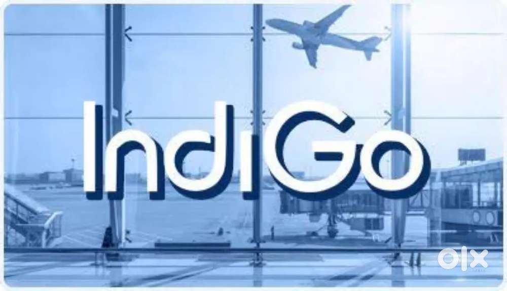 Ground Staff jobs in indigo Airlines urgent hiring Apply Fast