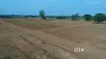 Open Plots for your childs Future