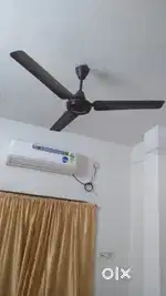 1fan & 4/6.5ft box divan banglasegun & sonajhuri & folding bed 6.5/3.5