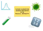 Mathematics and science tution