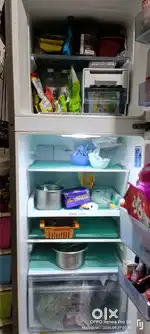 Samsung 230L Double Door Fridge with Digital Inverter