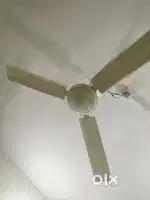 Seeling Fan