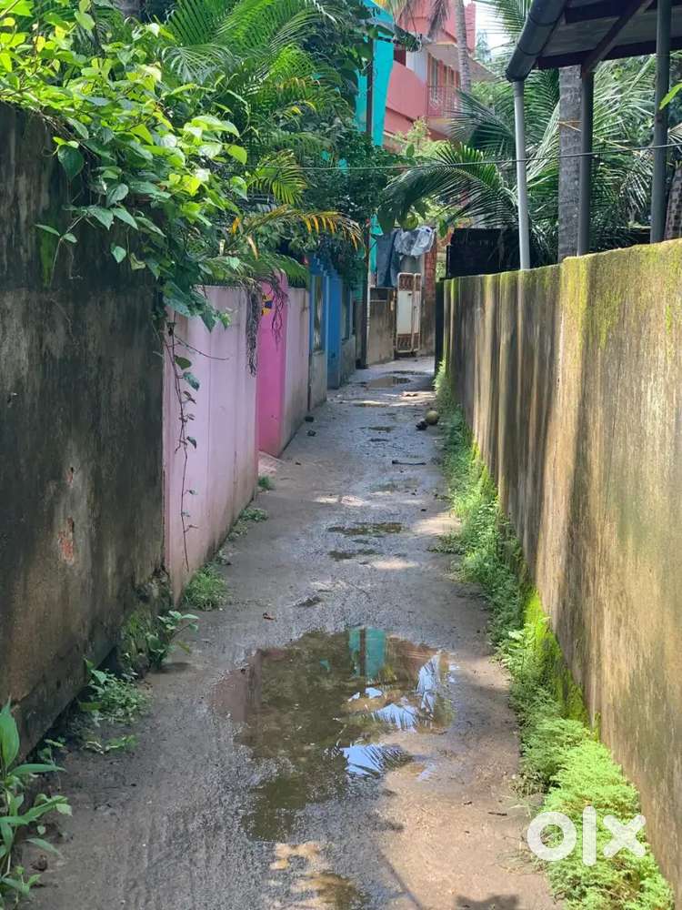 First floor 2 BHK APARTMENT FOR RENT