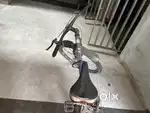 29 inch cycle one year old